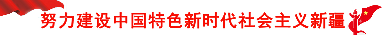 努力建设中国特色新时代社会主义新疆